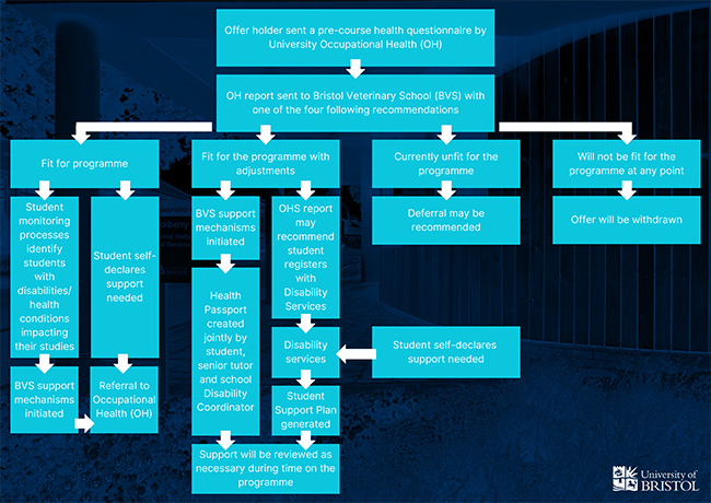 Disability flow diagram